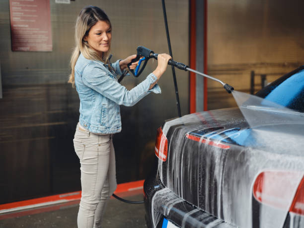 Best House Pressure Washing  in Porter, IN